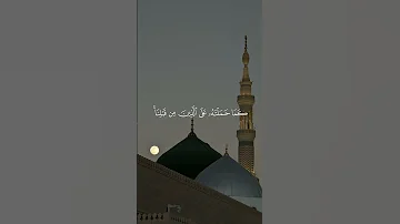 لا يكلف الله نفسا الا وسعها ماهر المعيقلي 