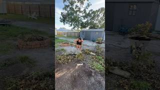 Removing All The Junk From Our Yard, Clean Up, Yard Work