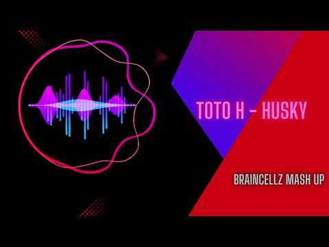 Toto H - Husky