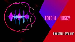 ToTo H - Husky(BraincellZ Mash Up) Resimi