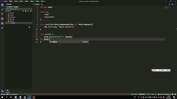 go开发web 第一讲 go web服务器