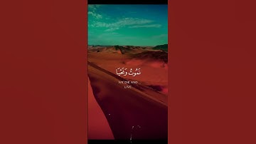 قران سورة المؤمنون من آية ٣٥ الى آية ٣٨/ياسر الدوسري