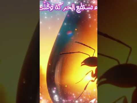 الملذات في الدنيا تغير ما يكون بداخلك و اتجاه قلبك حتي تنسي الاخره