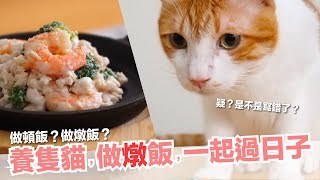 養隻貓做燉飯今天來做燉飯【貓副食食譜】好味貓鮮食廚房EP161