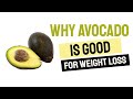 Why Avocado Is Good for Weight Loss | Avocado for Losing Weight Fast