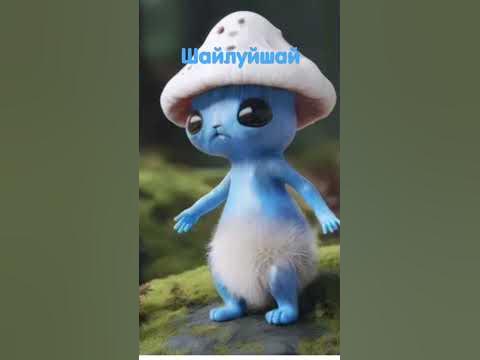 шалушай - YouTube
