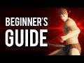 "Beginner's Guide" to Dark Souls 2