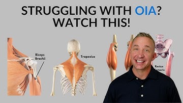 Muscle Origin, Insertion & Action: Study Tips