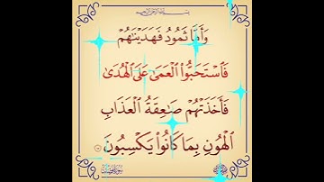 سورة فصلت الآية ( 17 )