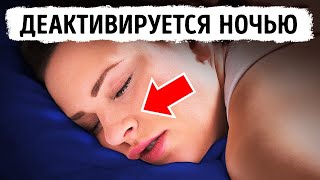 видео: Удивительные факты о теле, которые помогут вам подготовиться к биологическому тесту в мгновение ока! картинка: Удивительные факты о теле, которые помогут вам подготовиться к биологическому тесту в мгновение ока!