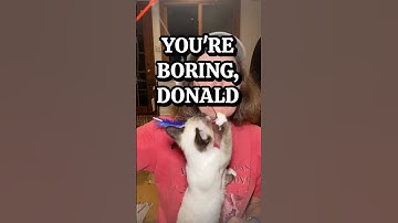 You’re Boring, Donald. #Comedy #Satire #PaulaPoundstone #Trump #PoliticalHumor #Shorts