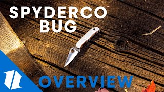 SPYDERCO BUG | Knife Overview by Blade HQ Shorts 14,067 views 2 years ago 1 minute, 42 seconds