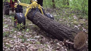 Skidder do Vatora - przewożenie ciężkiego drewna w trudnym terenie