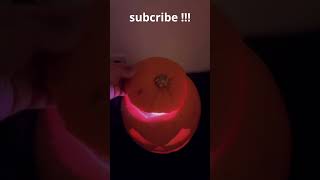 Pumpkin Hacks: Magical Tips and Tricks!