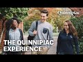 The quinnipiac university experience