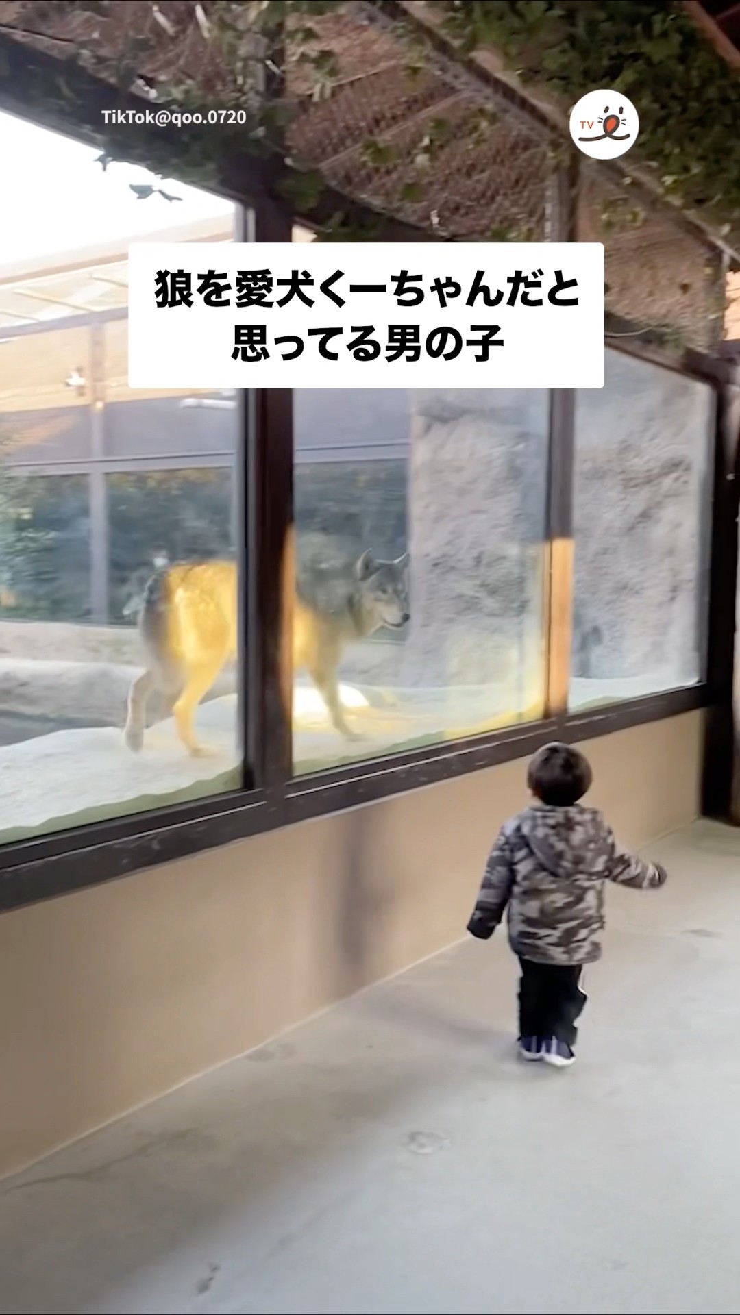 くうちゃん 愛犬くーちゃんの正体は…｜PECO - YouTube