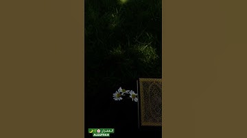 #ارح_قلبك #تلاوة_هادئة القارئ: مؤيد المزين 🌿🍃💚🧺