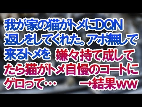 【スカッとする話】我が家の猫がトメにＤＱＮ返しをしてくれた。アポ無しで来るトメを嫌々持て成してたら猫がトメ自慢のコートにゲロって…→結果ｗｗ【スカッと便り】