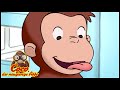 Coco der Neugierige Affe 🐵Der eifrige Bücheraffe 🐵Ganze Folgen Staffel 5 🐵Cartoons für Kinder