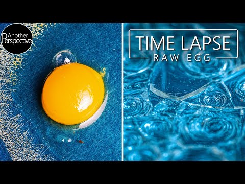 Egg Time-Lapse