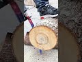 Too Smooth for a Saw?! 🤯 Watch This Blade Slice Wood Like Butter 🪵 Woodworking#ToolTest#Workshop