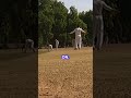Catastrophe of cricket errors! #cricket #cricketaddict