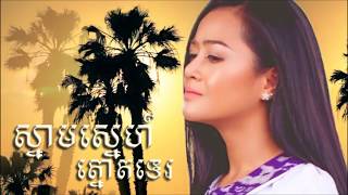 Miniatura del video "ស្នាមស្នេហ៍ត្នោតទេរ"