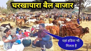 चरखापारा बैल बाजार || Charkhapara Bail Market || jashpur Chhattisgarh || karam Dhurve Vlogs