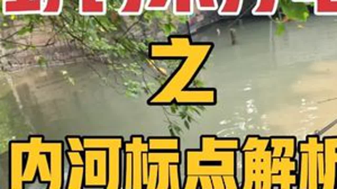 路亚野钓不上鱼？手把手教会你 标点及用饵的选择，新手必看！ #微物路亚 #路亚教学 #路亚野钓