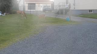 DSCN3633
