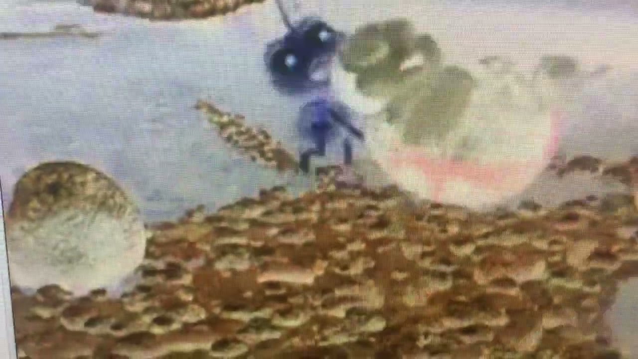 A Bug’s Life - Bird Attack in G Major 1