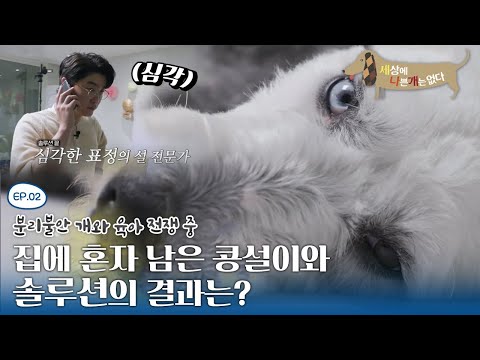 세상에 나쁜 개는 없다 - 분리불안 개와 육아 전쟁 중_#003