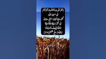 سورة البقرة الآية ٢٦١ الى ٢٦٣ بصوت الشيخ ماهر المعيقلي #القران_الكريم #القران_الكريم_في_الصباح