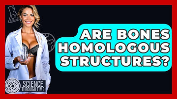 Are Bones Homologous Structures? - Science Through Time