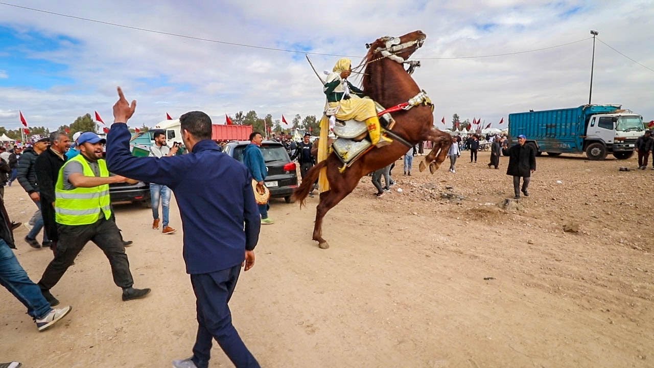 اقصائيات دار السلام 2023 بمراكش اجواء هستيرية مشاركة اكتر من 18 سربة منافسة قوية في اكبر حراراة