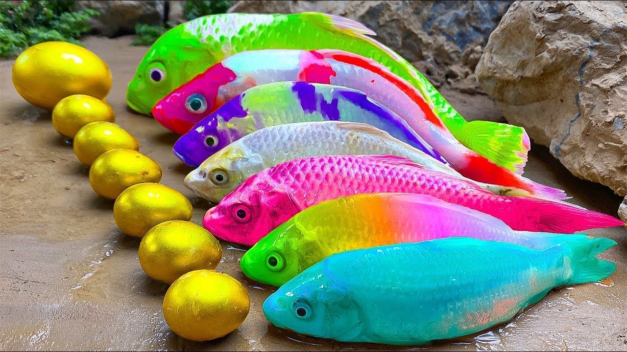 IKAN PELANGI💕Ikan Emas Panas Vs Berburu Koi Telur warna-warni | Memasak Primitif - Stop Motion ASMR