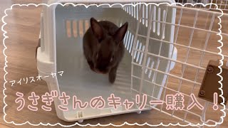 うさぎさんのペットキャリー紹介！