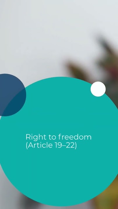 what-are-the-6-fundamental-rights-in-indian-constitution-youtube