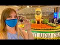 Las Vegas Reopens MGM Grand, Lazy River, and all the ...