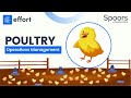 Poultry Farm Management Software | EFFORT