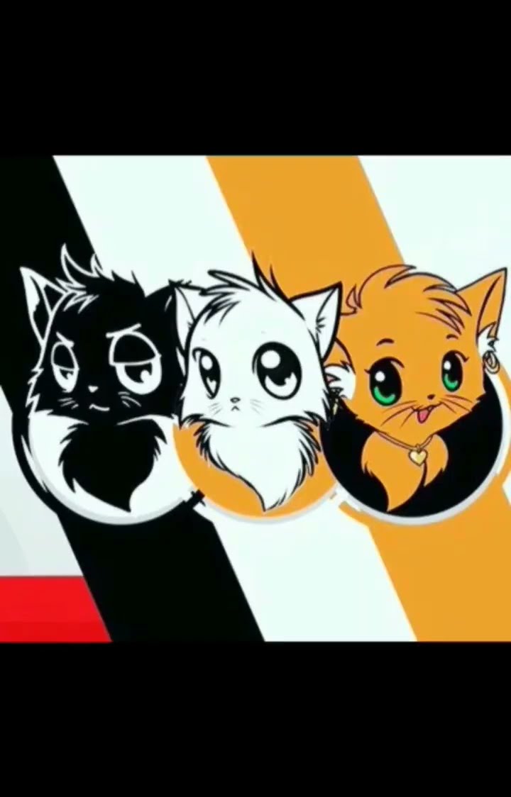 Черный кот коты ютуберы