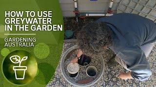 How to use greywater in the garden | DIY Garden Projects | Gardening Australia