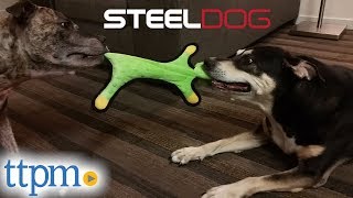 Bumpies Gator and Baby Bumps Fox Dog Toys from Steeldog LLC screenshot 5