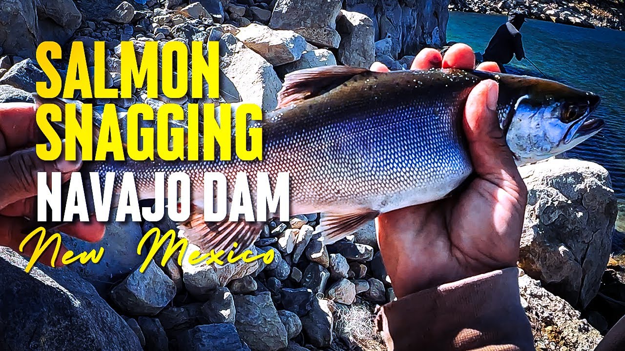 Salmon Snagging - Navajo Dam, New Mexico 2023 