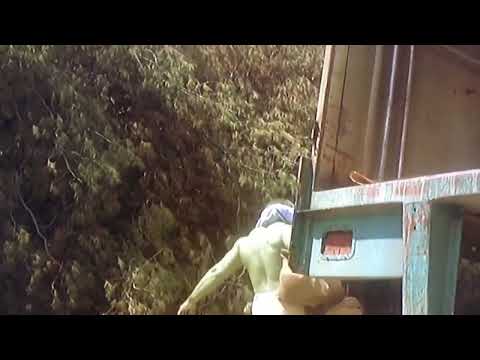 The Incredible Hulk Another Path Hulk takes Li Sung out of truck scene