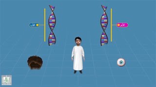 الحمض النووي - DNA