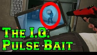 THE IQ PULSE BAIT - Rainbow Six Siege Velvet Shell