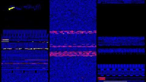 The Sentinel Real Time Memory Visualisation