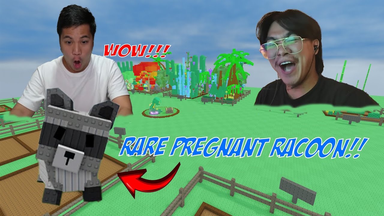 RARE PREGNANT RACCOON DISCOVERED IN GROW A GARDEN!