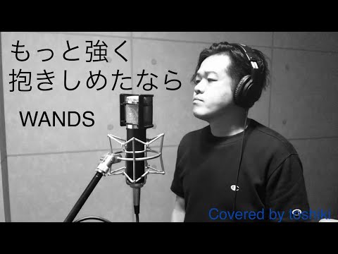 WANDS   「もっと強く抱きしめたなら」   toshiki   歌ってみた